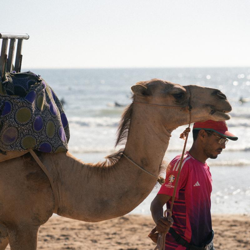 Surf package at Panorama Guest house Tamraght - The Moroccan Experience